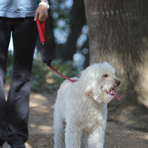 Spibelt SPIleash Dog Lead Red in use