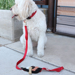SPIleash Dog Lead great for dog treats and poo bags